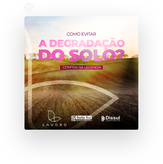 POST 06